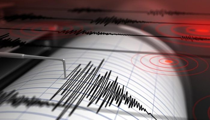 Gempa Tuban Akibatkan Sejumlah Rumah dan Fasilitas Umum Rusak